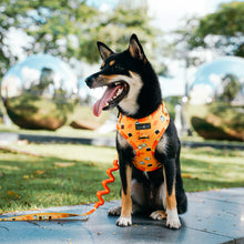 Load image into Gallery viewer, Adjustable Soft Harness: Kopi and Friends - Woof &amp; Wag
